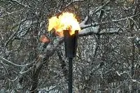 Факел садовый январь 2012 (197221) производство ø 65 мм. ветроустойчивая  в Красноярске