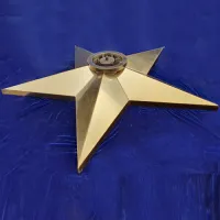 Звезда вечный огонь (1628) поставка комплект горелка ГВД 379 10 89 00 ПС ø 1100 мм. пустотелая  в Красноярске